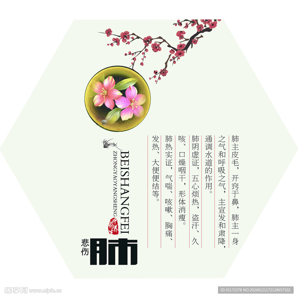 中医形象墙