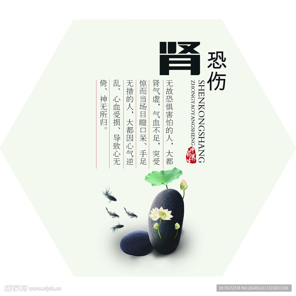中医形象墙 肾恐伤