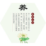 中医形象墙