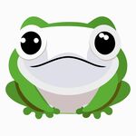 青蛙