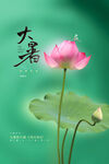 荷花荷叶大暑节气海报