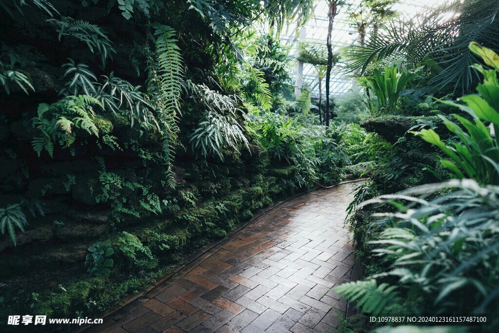 室内植物园