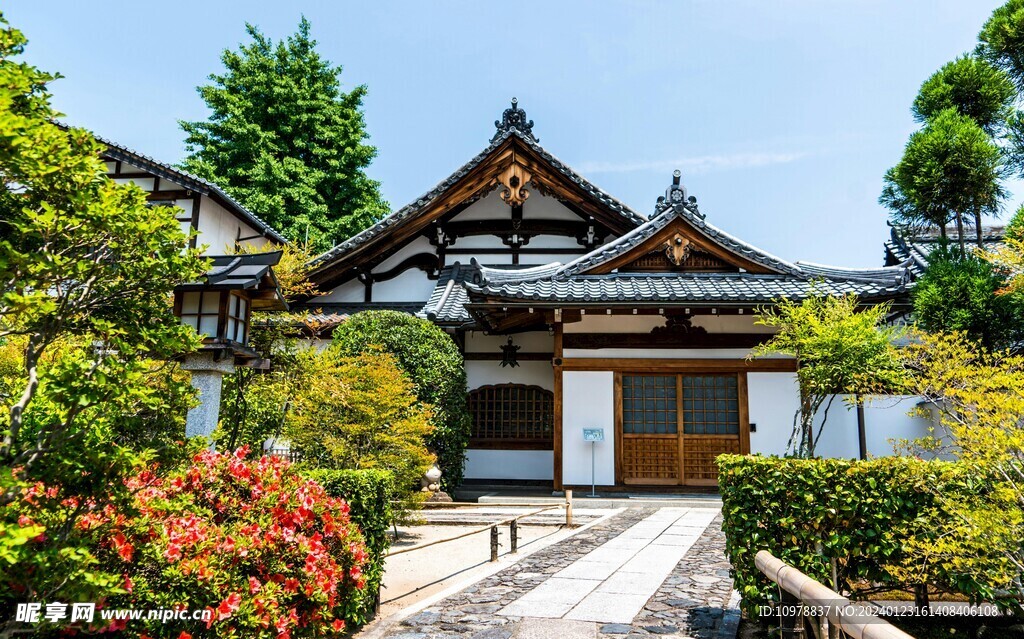 庭院