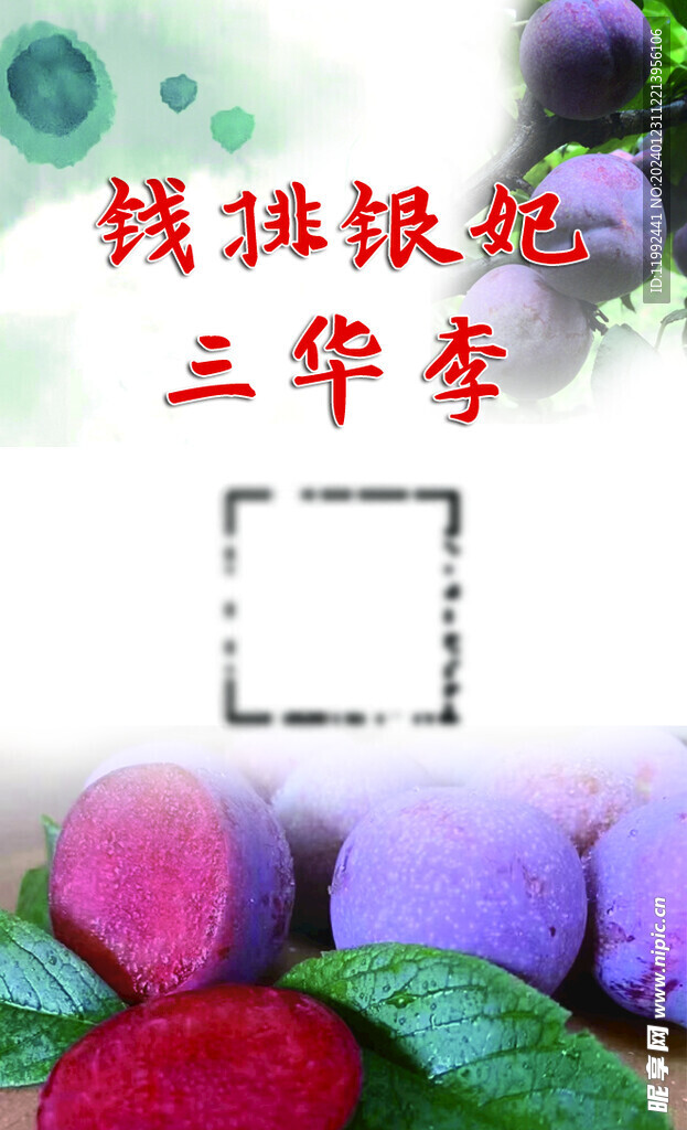 水果李子名片