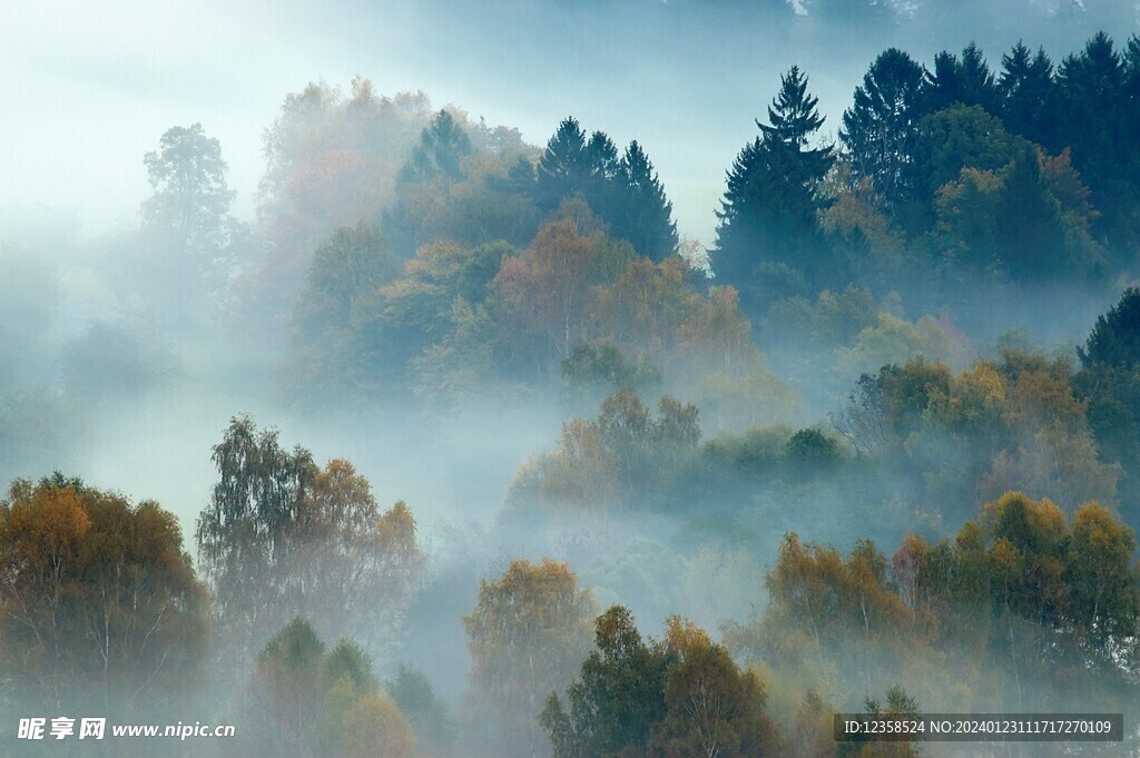 风景