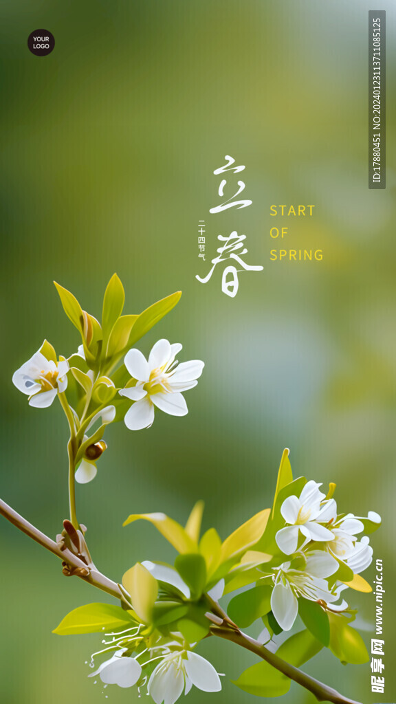 立春节气海报