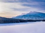 雪山森林