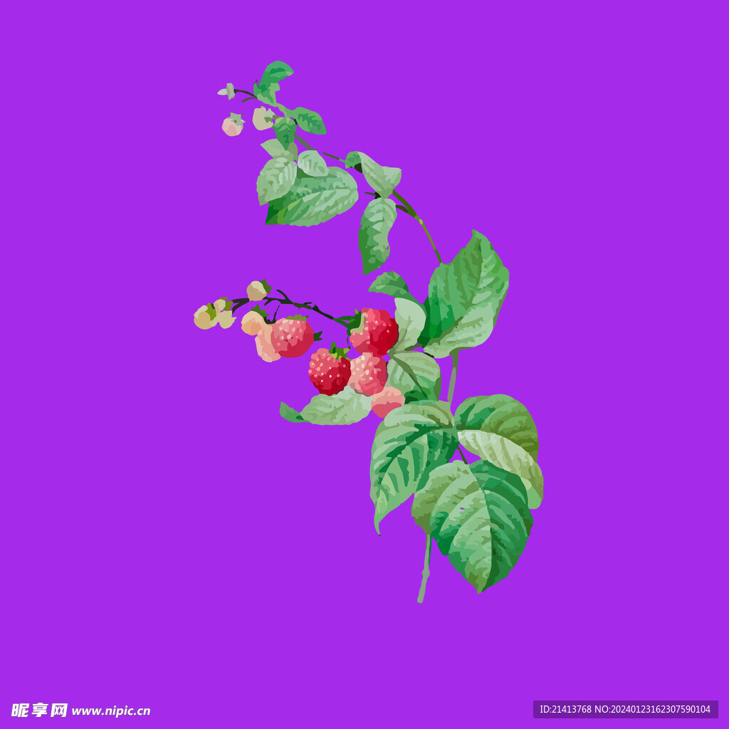 手绘草莓水果