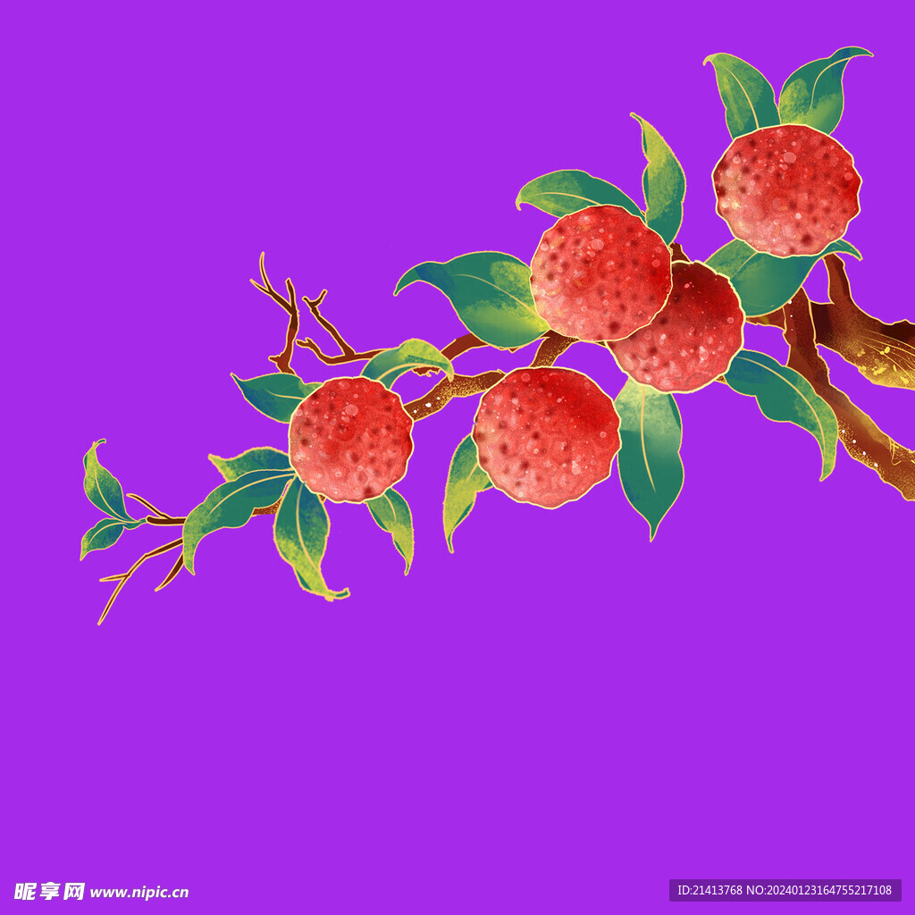 水果荔枝 