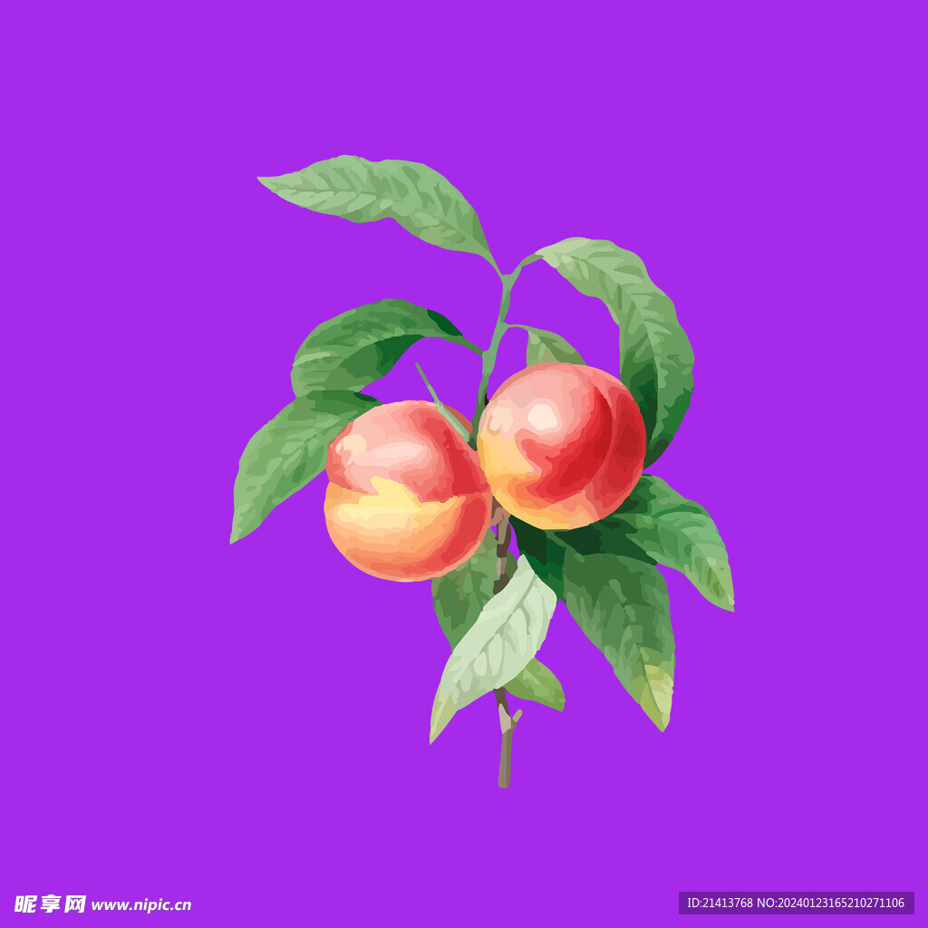 桃子水蜜桃 