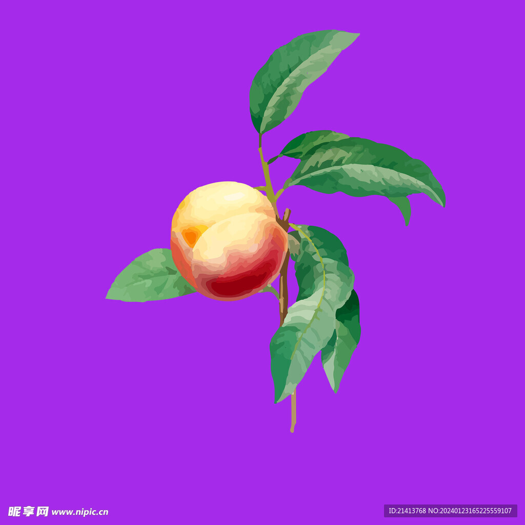 桃子水蜜桃 
