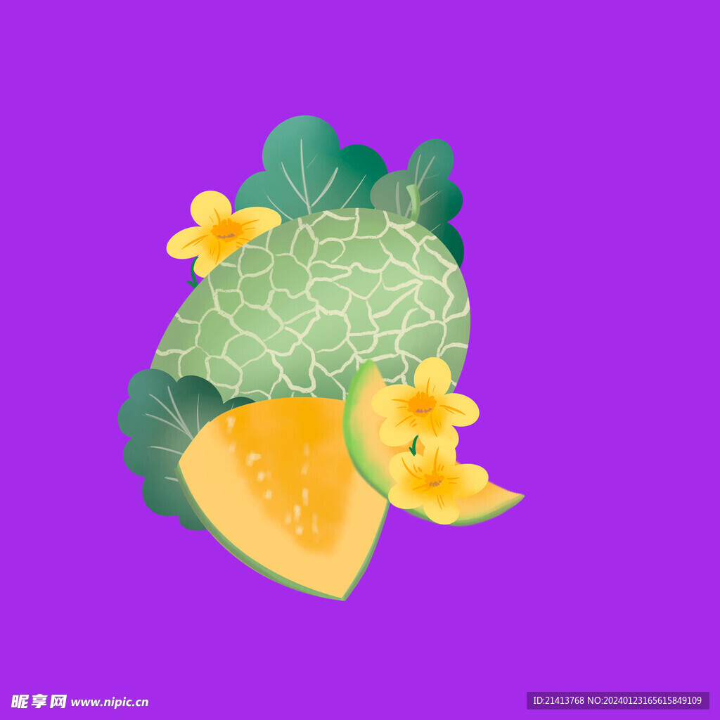 水果哈密瓜