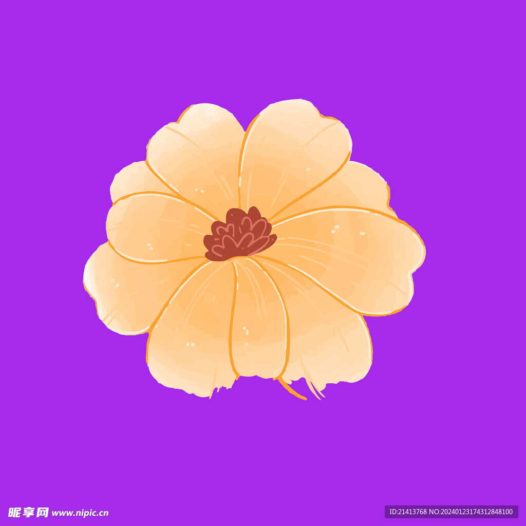 手绘花卉花朵