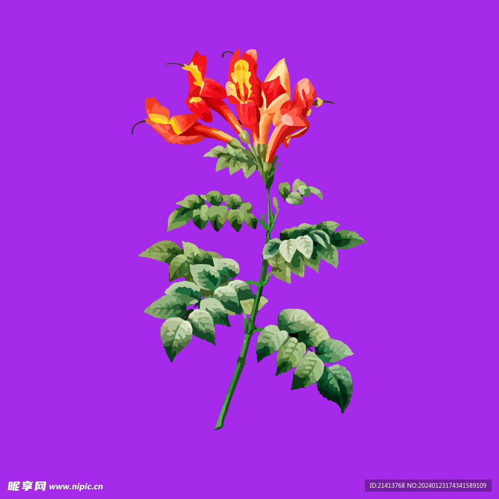 手绘花卉花朵