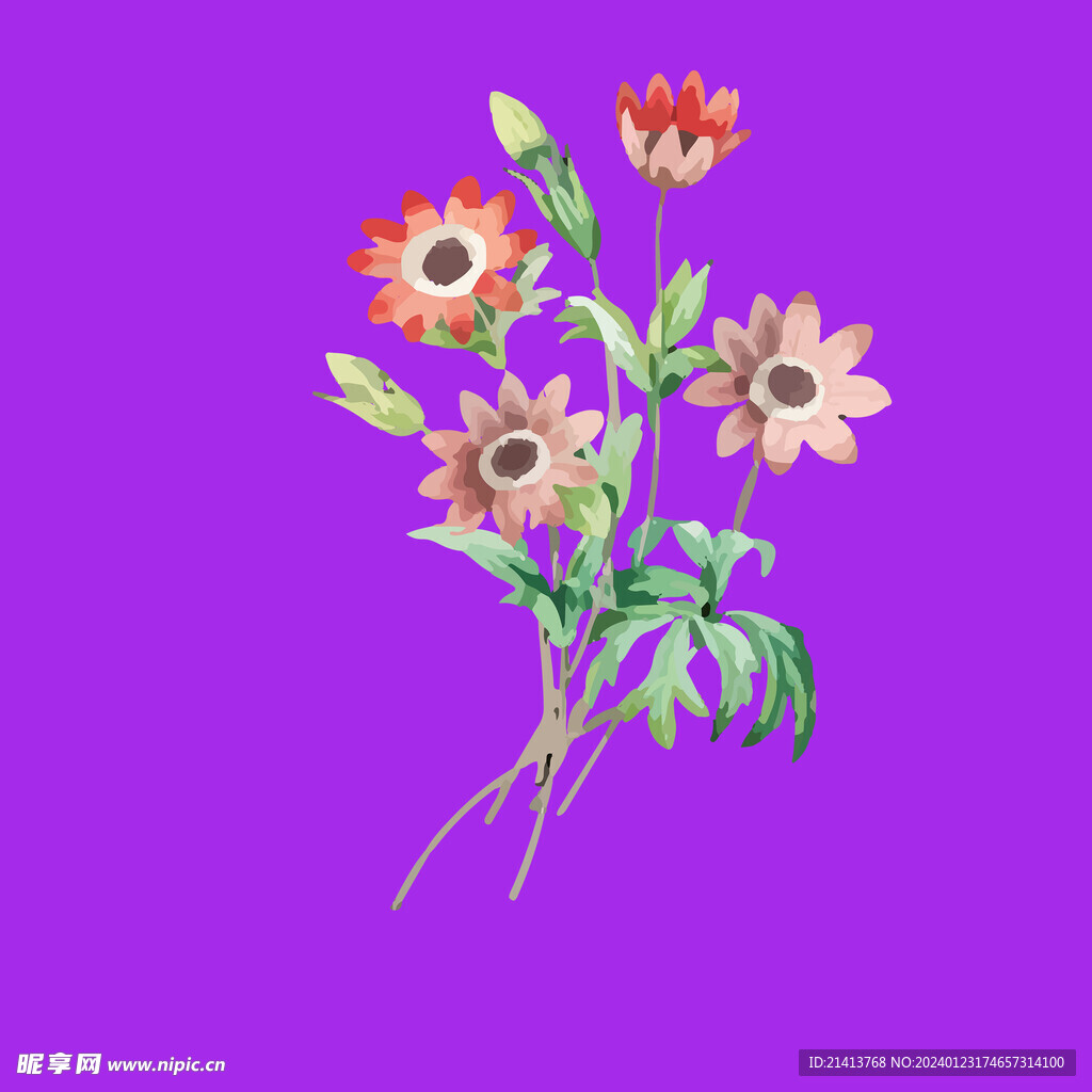手绘花卉花朵 