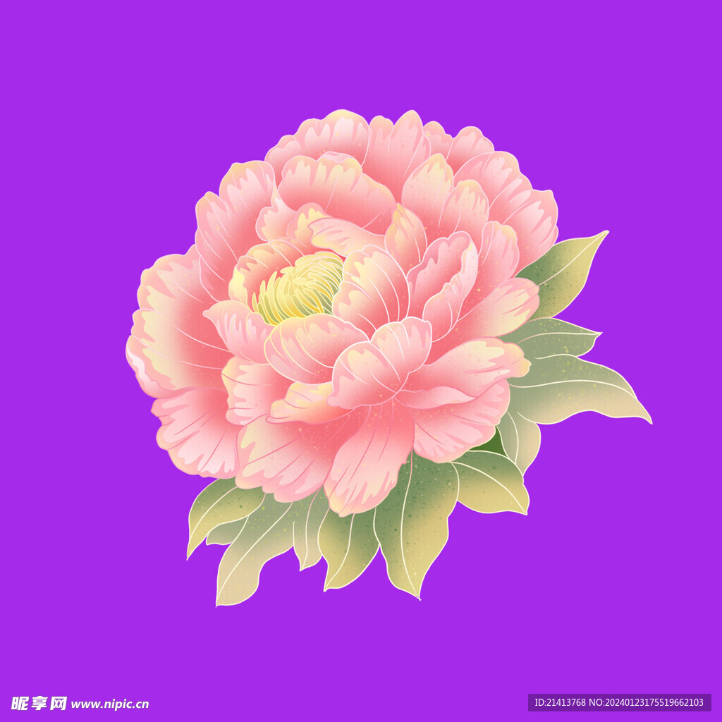 鲜花牡丹花 
