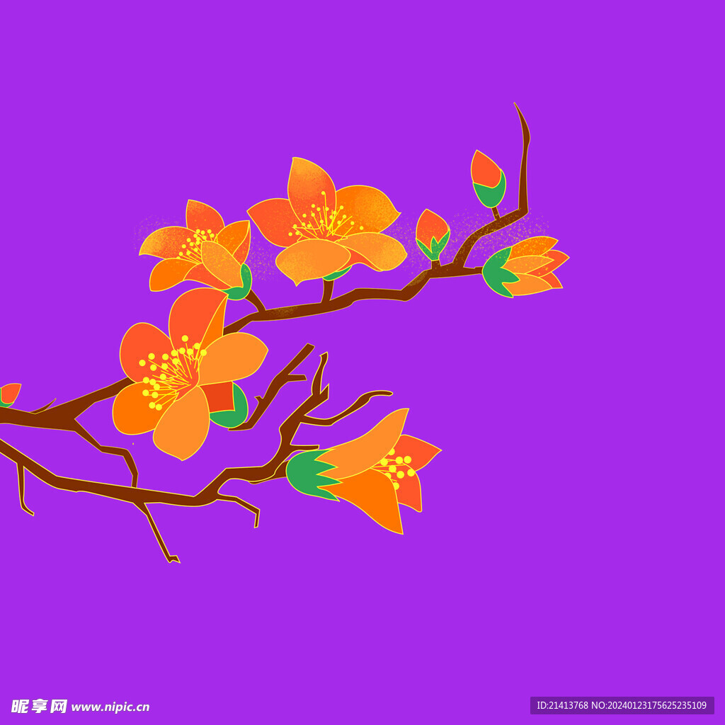 花朵石榴花