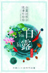 白鹭