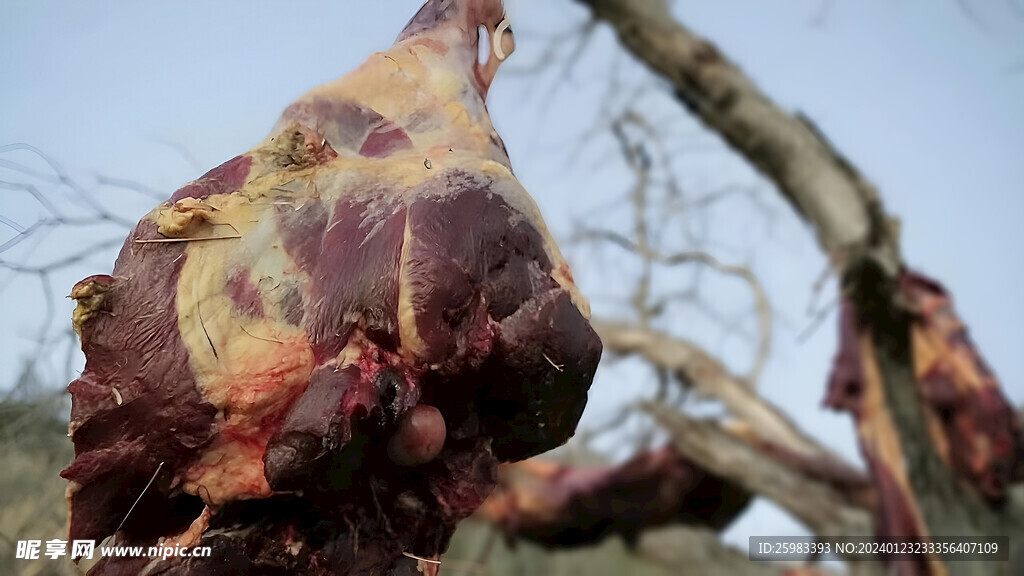 牛肉