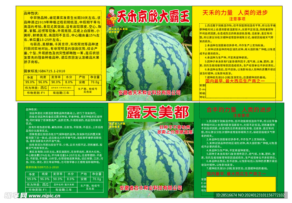 西瓜贴纸