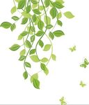 蝴蝶绿花纹