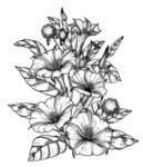 手绘花