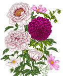 手绘花卉