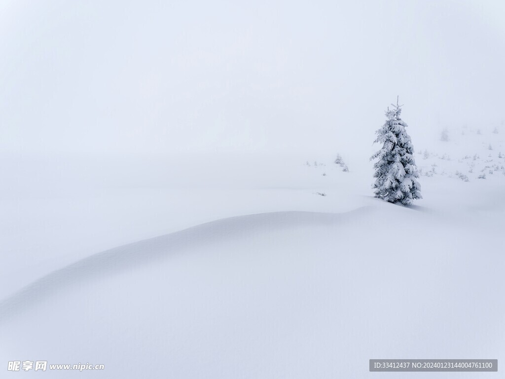 雪地