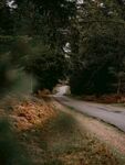 道路