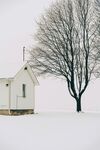 雪地