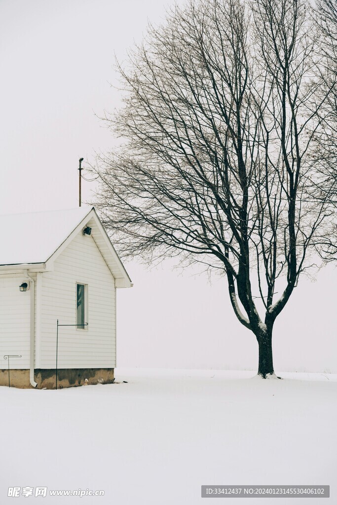 雪地