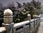 雪景