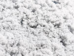 白雪
