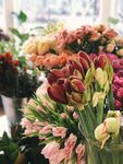 鲜花