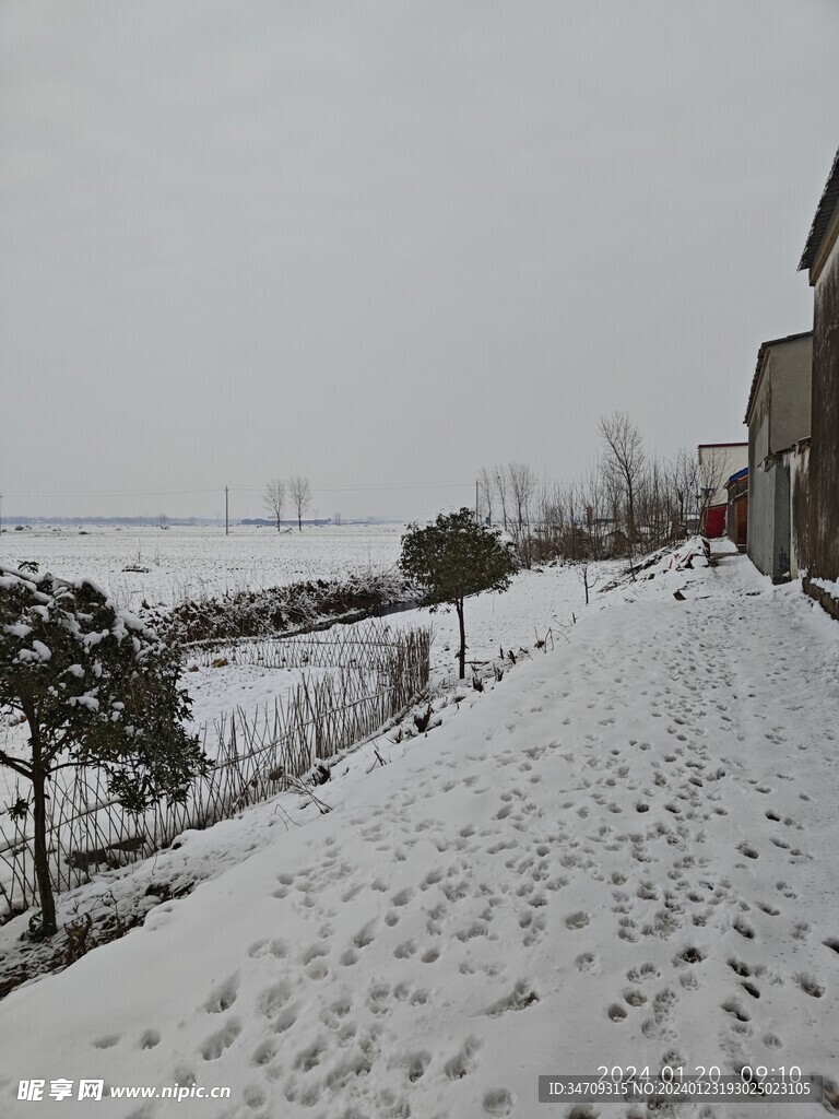 雪景