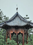 公园