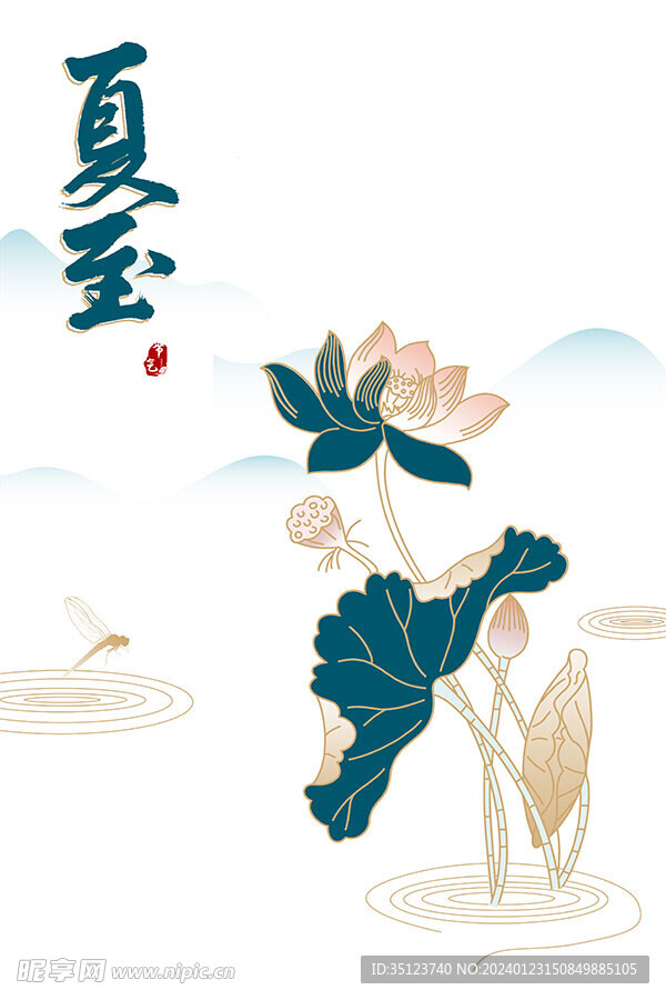 夏至荷花