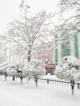 珲春雪景