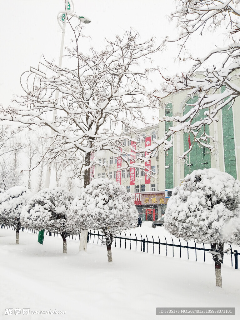 珲春雪景