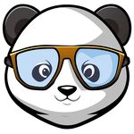 熊猫戴眼镜