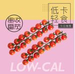 番茄海报