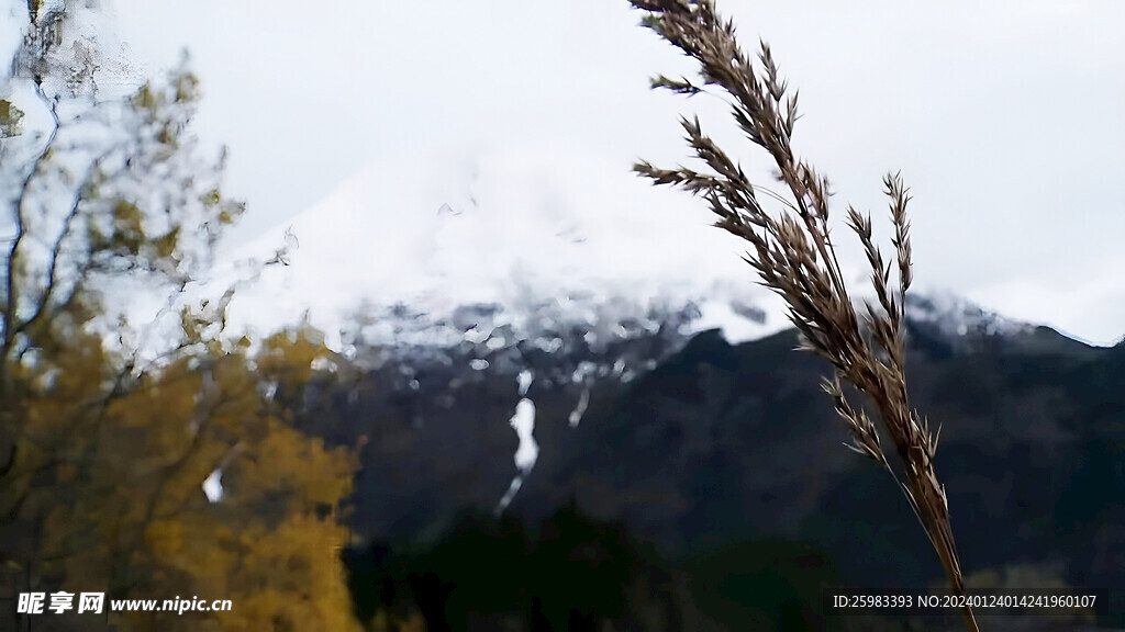 大雪山