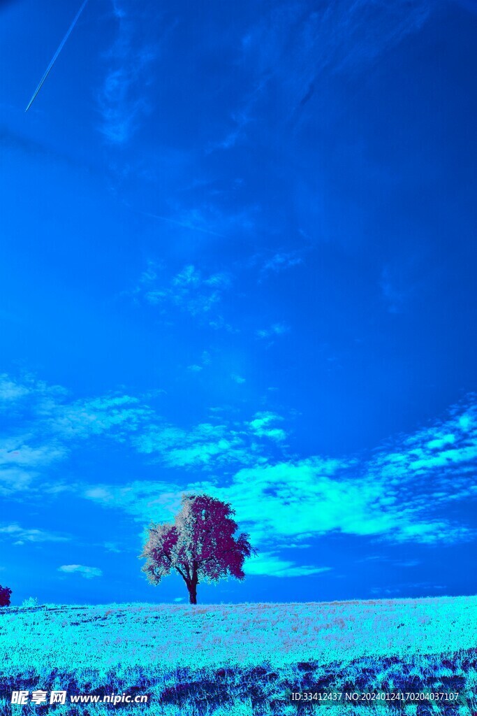 树木