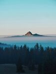 树林远山