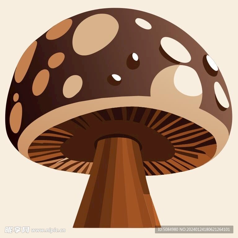 棕色蘑菇插图
