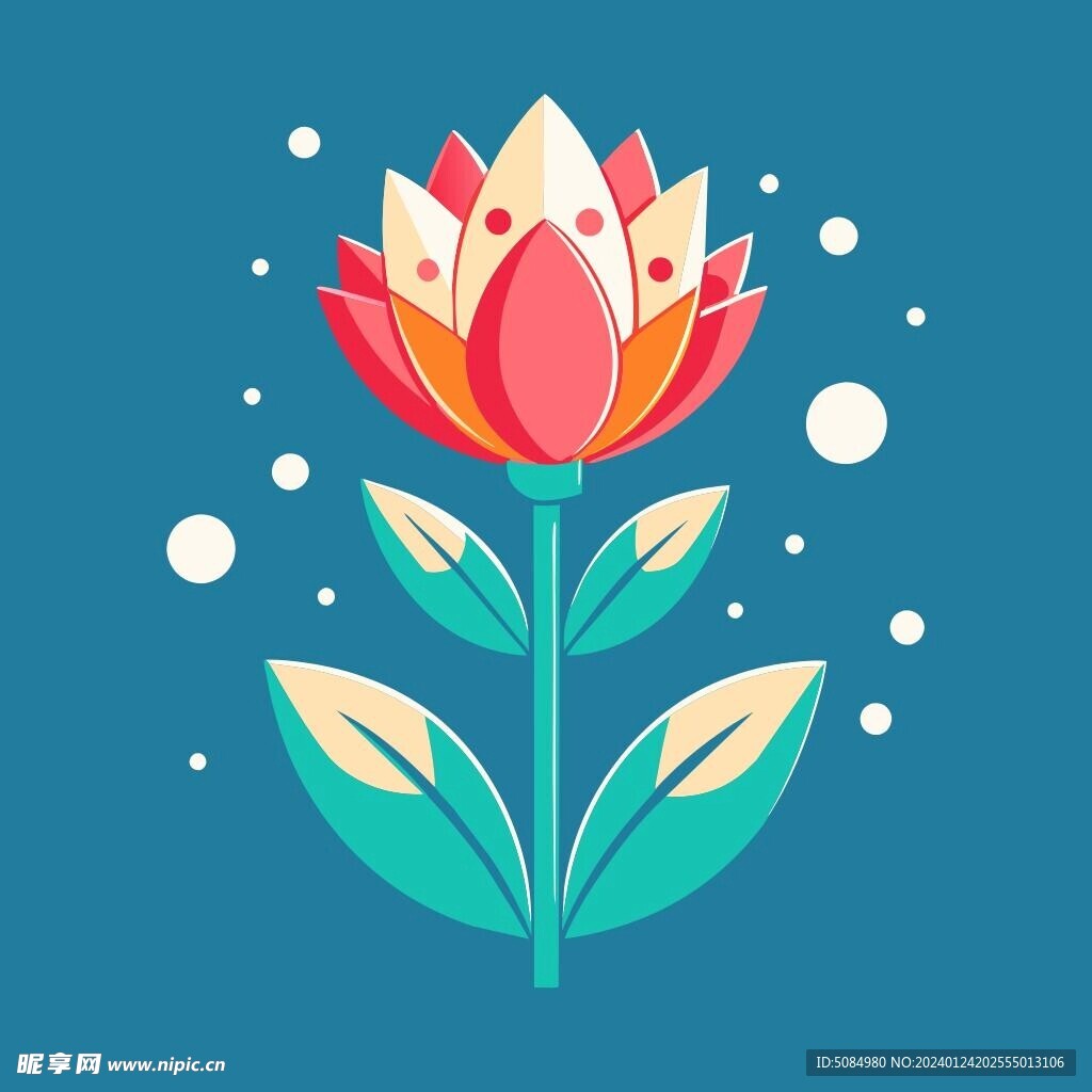 郁金香花