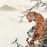 老虎