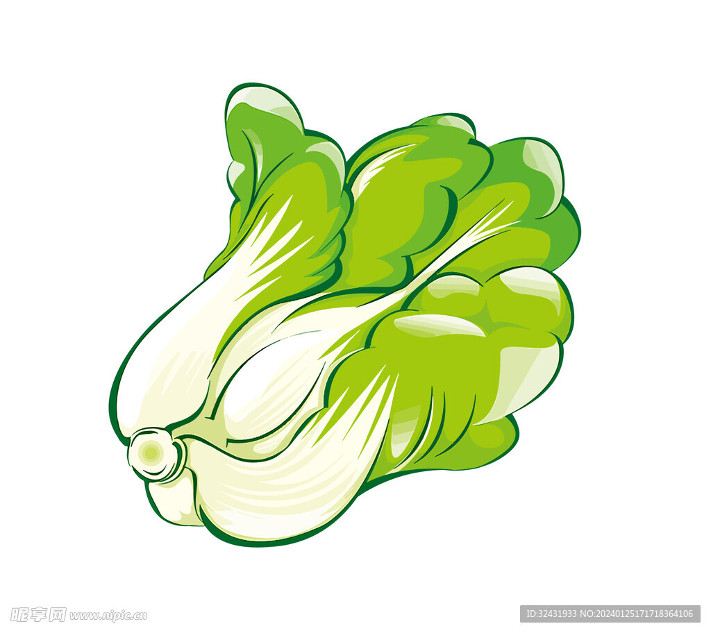 白菜