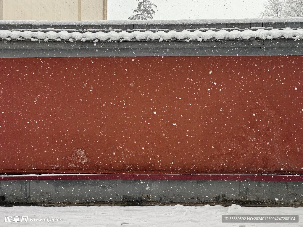 飘雪宫墙