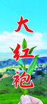 大红袍
